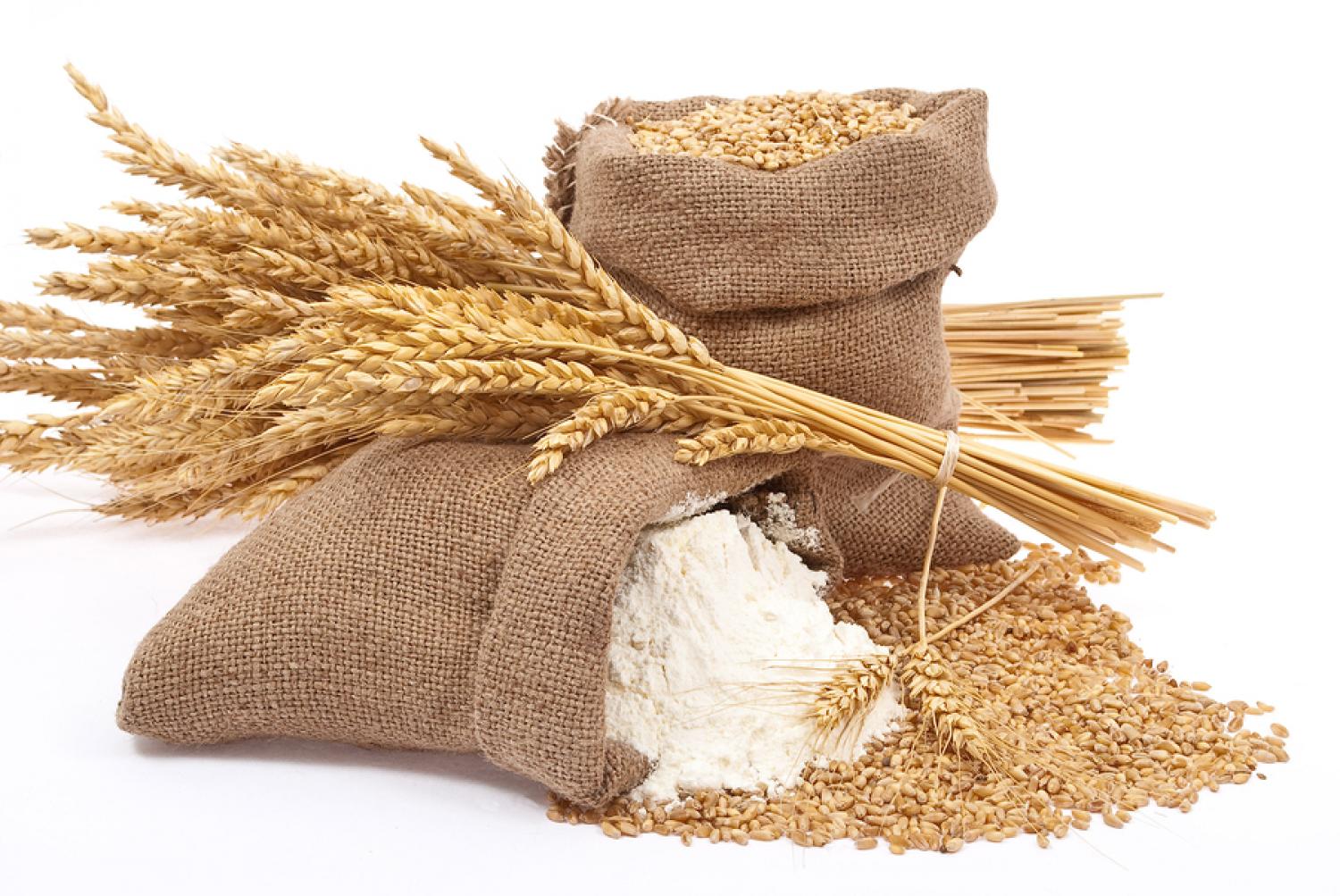De-oiled Rice Bran, raw material for feed animal, De-oiled Rice Bran (DORB)